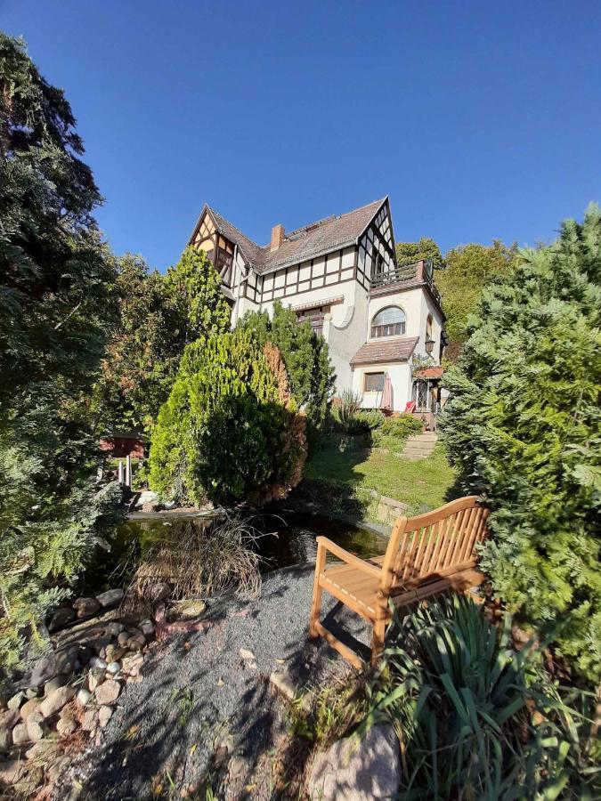Ferienwohnung Elbsommer Am Weinberg Meißen Exterior foto